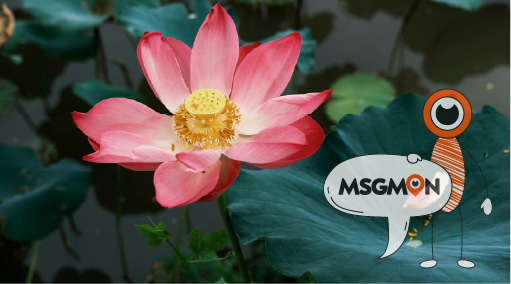 스웨디시와 차이점