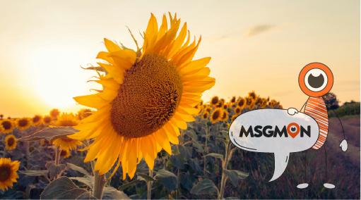 센슈얼 스웨디시 차이점