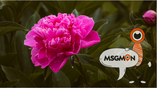 로미로미 터치 마무리