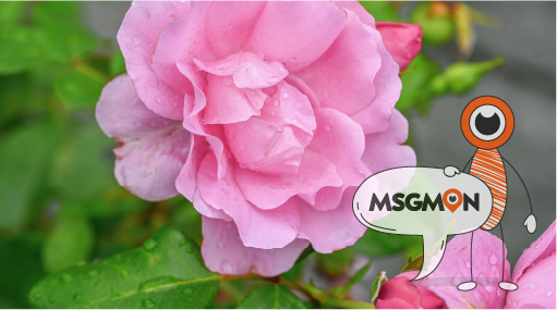 주기별 마사지 추천