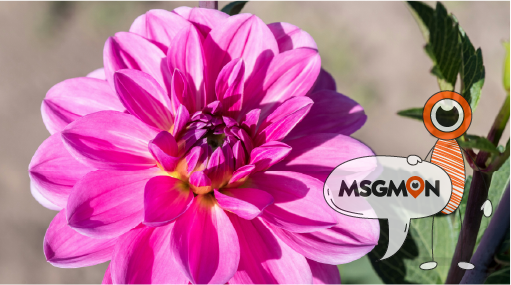 마사지 중 주의사항