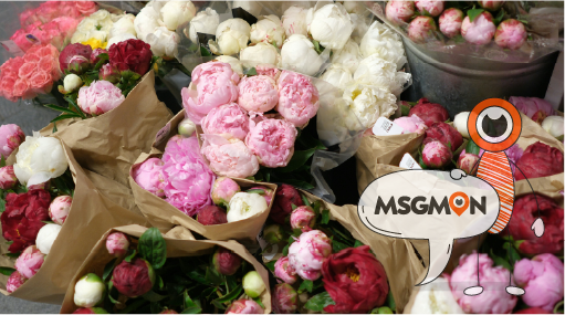 김치스웨 뜻은?