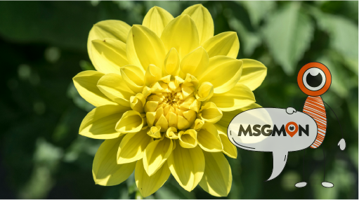 중국 마사지와 다른 마사지의 차이점