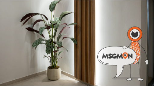 독특한 분위기와 환경