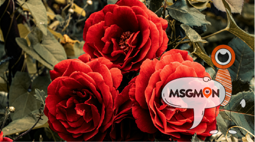 건전한 스웨디시 마사지 즐기기