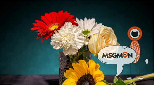 스웨디시 ㅈㄷ 뜻은?