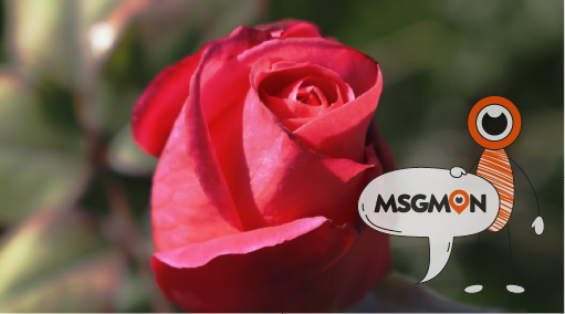 중국 마사지 결론