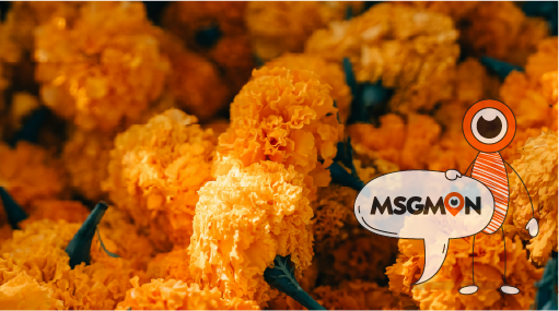 마사지몬 힐링 정보