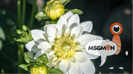 중국 마사지란?