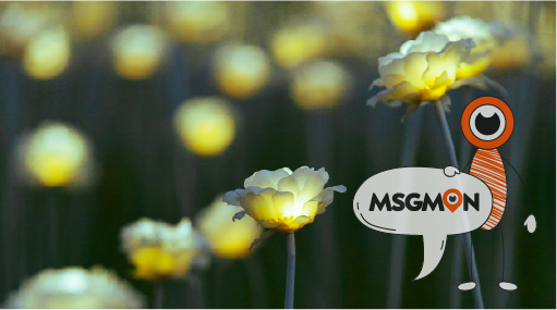 스웨디시 마사지의 가격