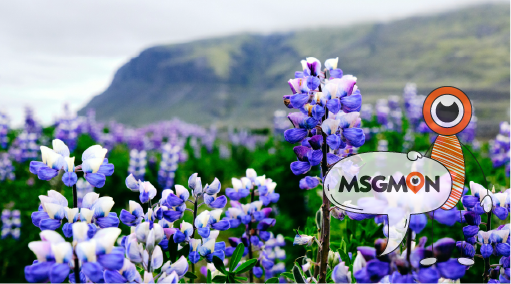 스웨디시 마사지란?