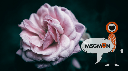 로미로미 마사지란