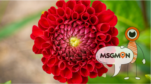 스웨디시 ㅎㄷ뜻 완벽 정리