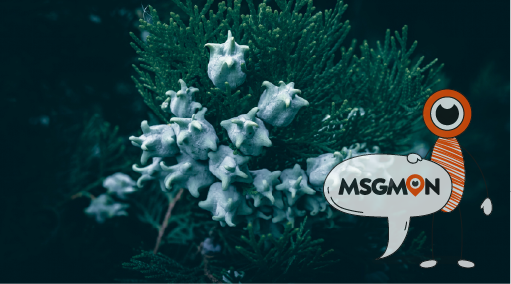 스킨케어가 가능한 에스테틱