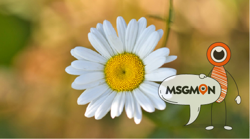 스웨디시 실체, 그 진짜 모습