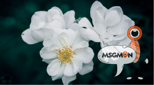 스웨디시 마사지란?