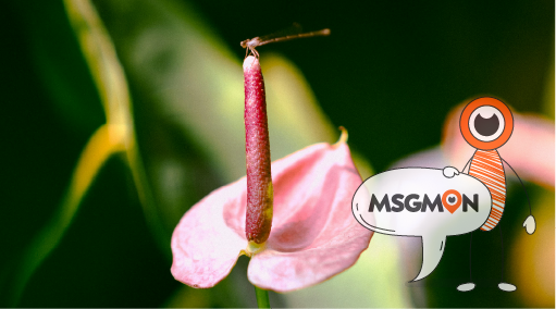 마사지 극강, 오해를 주의하세요!