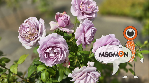 감성마사지의 매력