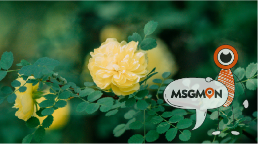 다양한 마사지와의 차이점