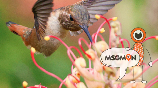 관리 유형에 따른 관리사의 연령대