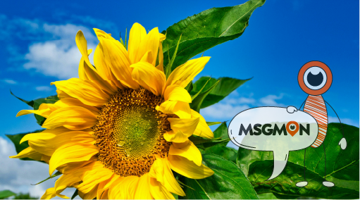 마사지 받는 주기, 얼마나 자주 받아야 할까요?