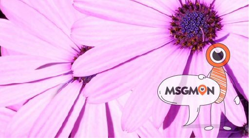 마사지 부위 선택