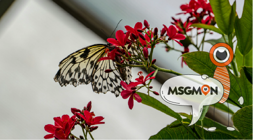 탕바디 무슨 뜻일까?