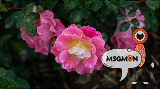 안전하게 마사지 받는 법