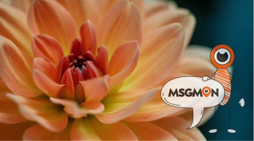 8만원 코스의 특징