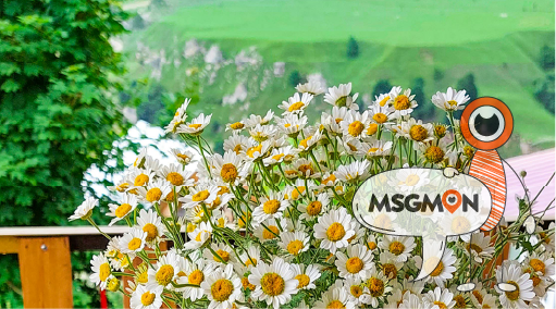 스웨디시 마사지의 효과