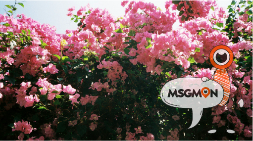 신뢰할 수 있는 샵 선택