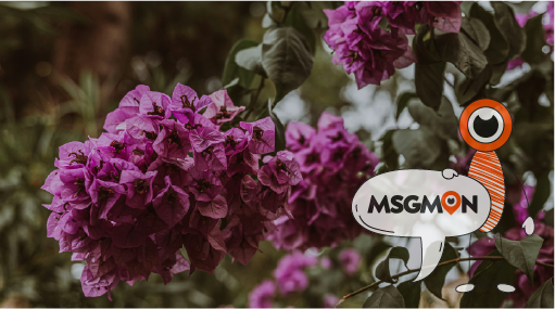 안전한 마사지 즐기기