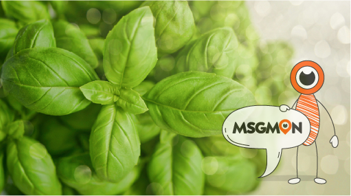 힙바디 스웨디시의 특징