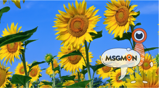 건강과 활력 증진