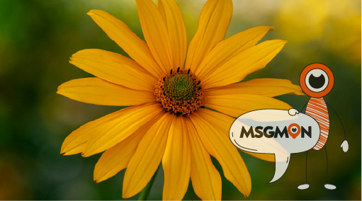 불건전한 이용 후기와 그 원인