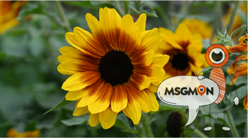 어떻게 시작할까요?