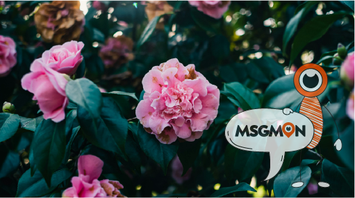 필링 재료와 주의사항