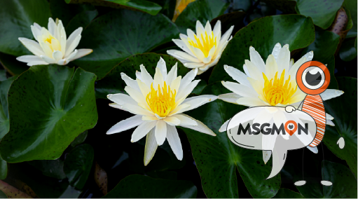 마사지 필링이란 무엇인가요?