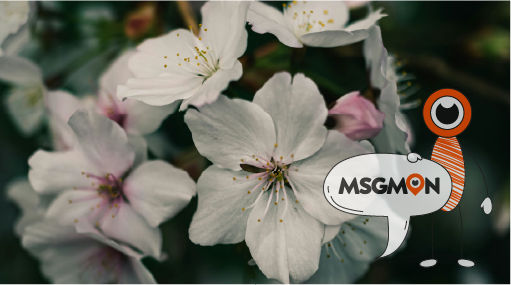 마사지 필링은 어떻게 진행되나요?