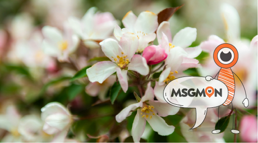 로미로미 림프 뜻