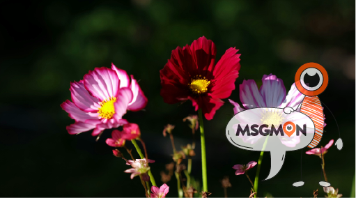 주의해야 할 점