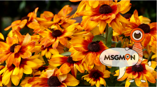  왜 로미로미 림프 마사지인가요?