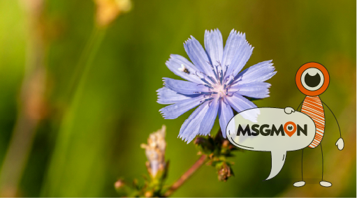 마사지 필링의 놀라운 효과