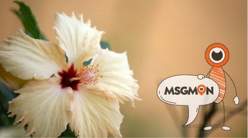 로미로미 스웨디시 차이