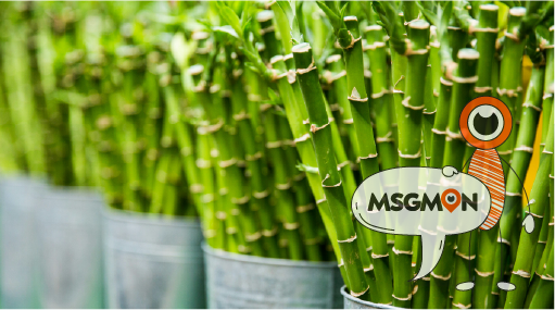 뱀부마사지의 효능