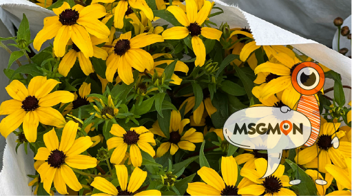 마사지 샵 선택의 중요성 