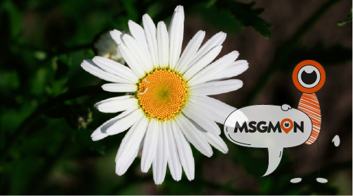 스웨로미 코스의 정의 