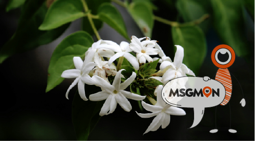 마사지를 즐기는 법