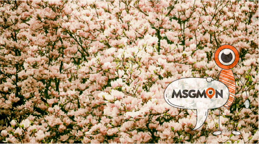 스웨로미 코스의 감성적 접근 