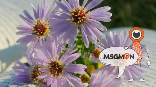 어떤 마사지 샵을 선택할까?